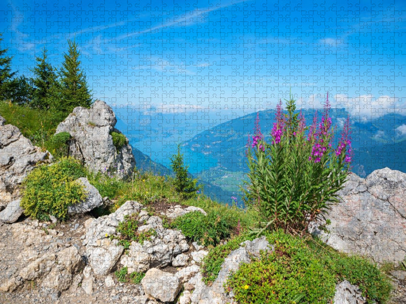 Thunerseeblick Schynige Platte - CALVENDO Foto-Puzzle'