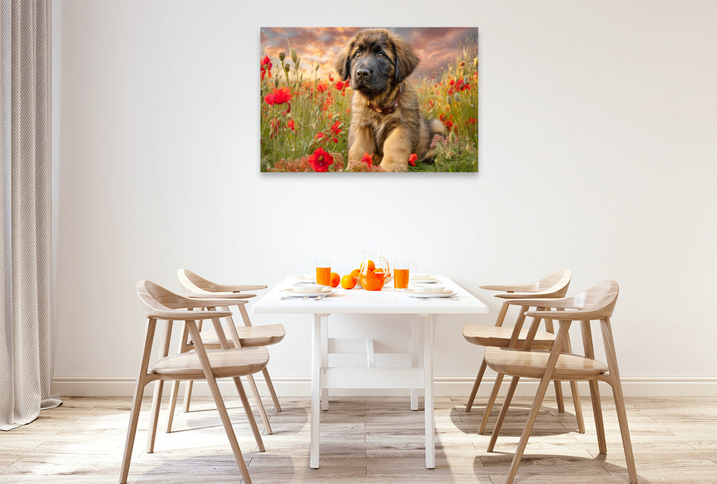 Premium Textil-Leinwand Kleiner Leonberger als Herzensbrecher