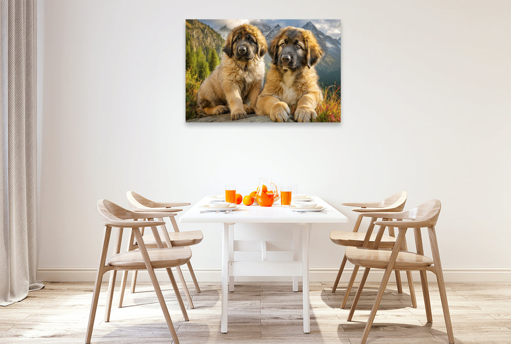 Premium Textil-Leinwand Süße Leonberger Welpen