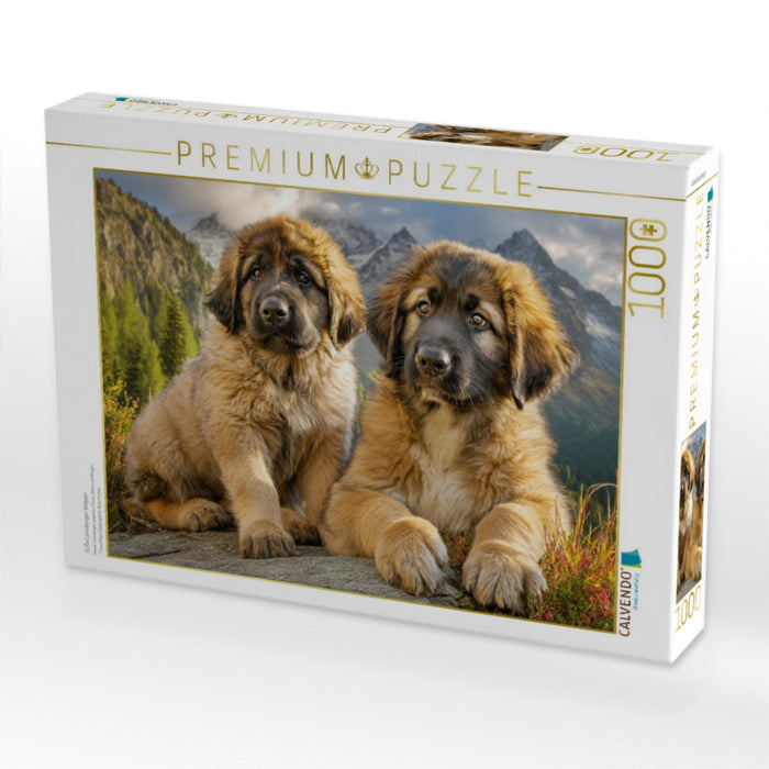 Süße Leonberger Welpen - CALVENDO Foto-Puzzle'