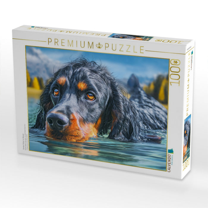 Gordon Setter im Wasser - CALVENDO Foto-Puzzle'