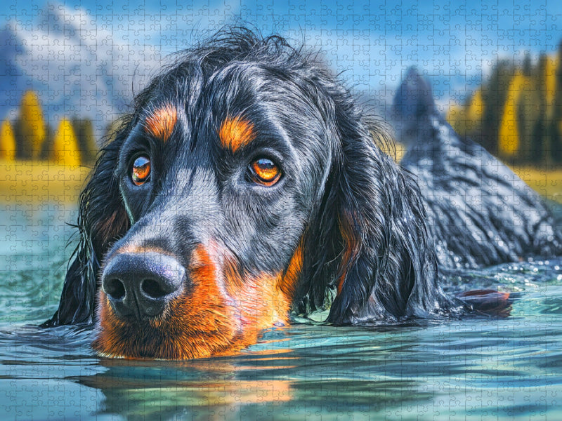 Gordon Setter im Wasser - CALVENDO Foto-Puzzle'