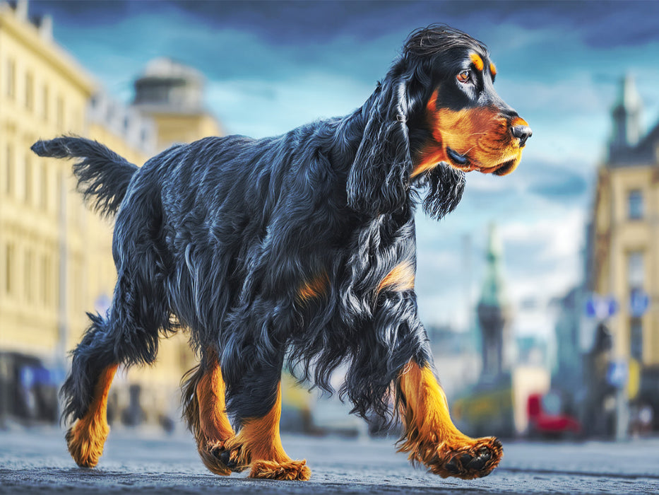 Der Gordon Setter - CALVENDO Foto-Puzzle'