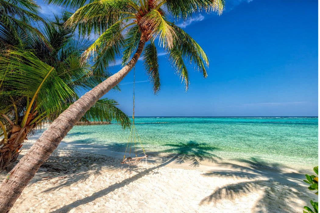 Premium Textil-Leinwand Weißer Palmenstrand auf den Malediven