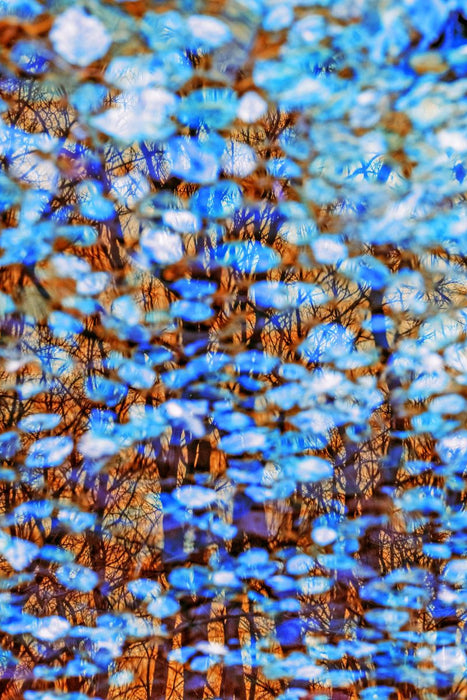 Premium Textil-Leinwand Blaues Flüstern auf goldener Haut