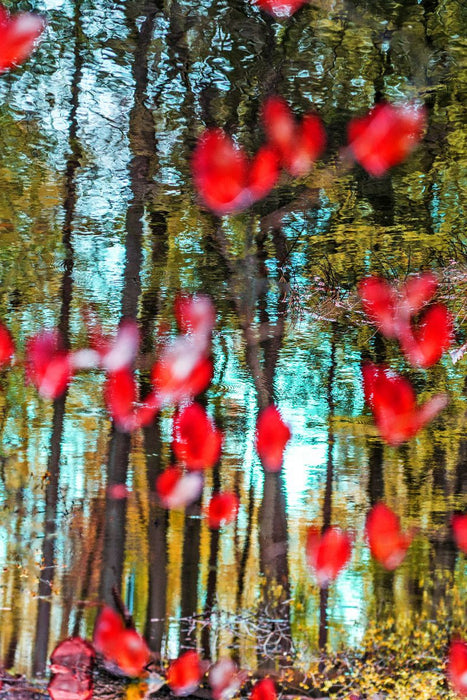 Premium Textil-Leinwand Härzschläge im Wasser