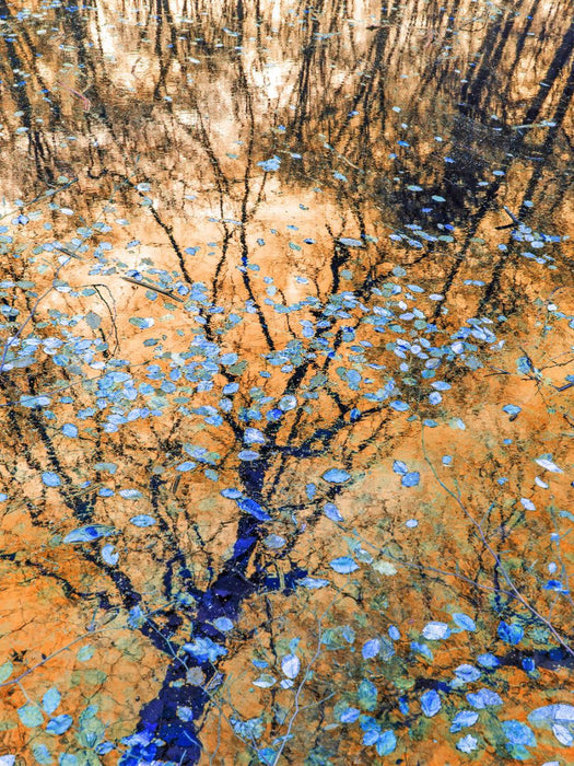 Wo Erinnerungen wie Bläter treiben - CALVENDO Foto-Puzzle'