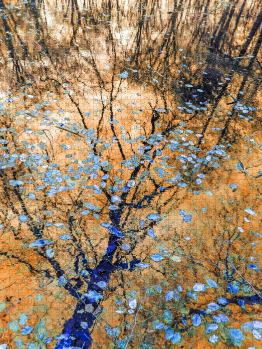 Wo Erinnerungen wie Bläter treiben - CALVENDO Foto-Puzzle'