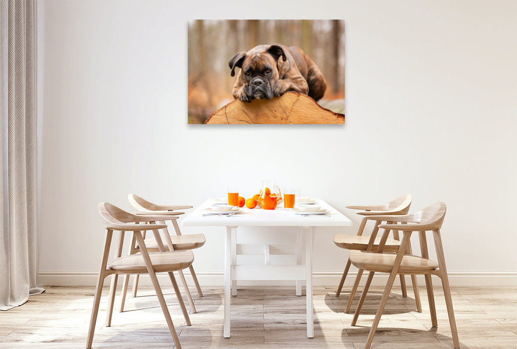 Premium Textil-Leinwand Der Boxer und das Holz der Zeit