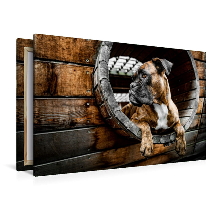 Premium Textil-Leinwand Holz, Stahl und Boxerblick