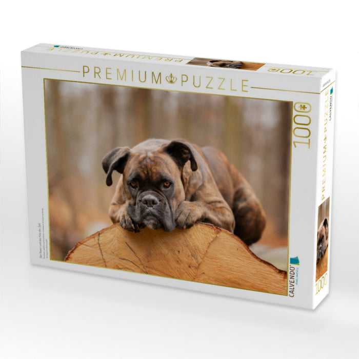 Der Boxer und das Holz der Zeit - CALVENDO Foto-Puzzle'
