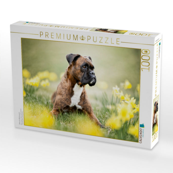 Boxer im Blütenrausch - CALVENDO Foto-Puzzle'