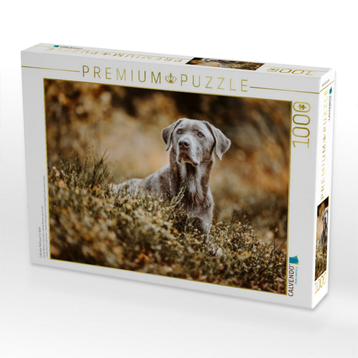 Labrador Retriever im Wald - CALVENDO Foto-Puzzle'