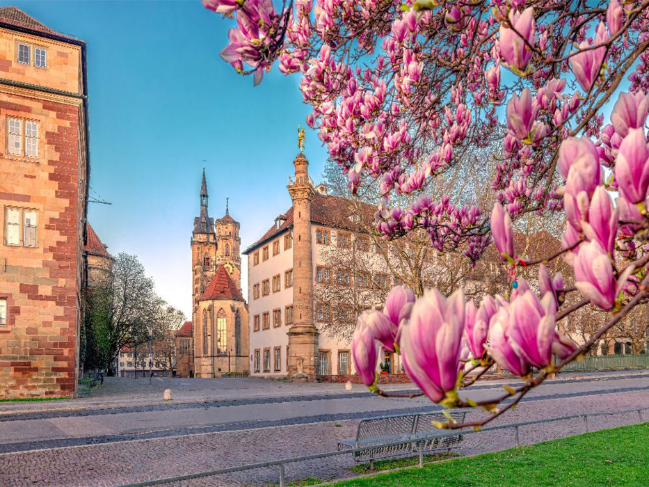 Magnolienblüte in Stuttgart und die Stiftskirche - CALVENDO Foto-Puzzle'