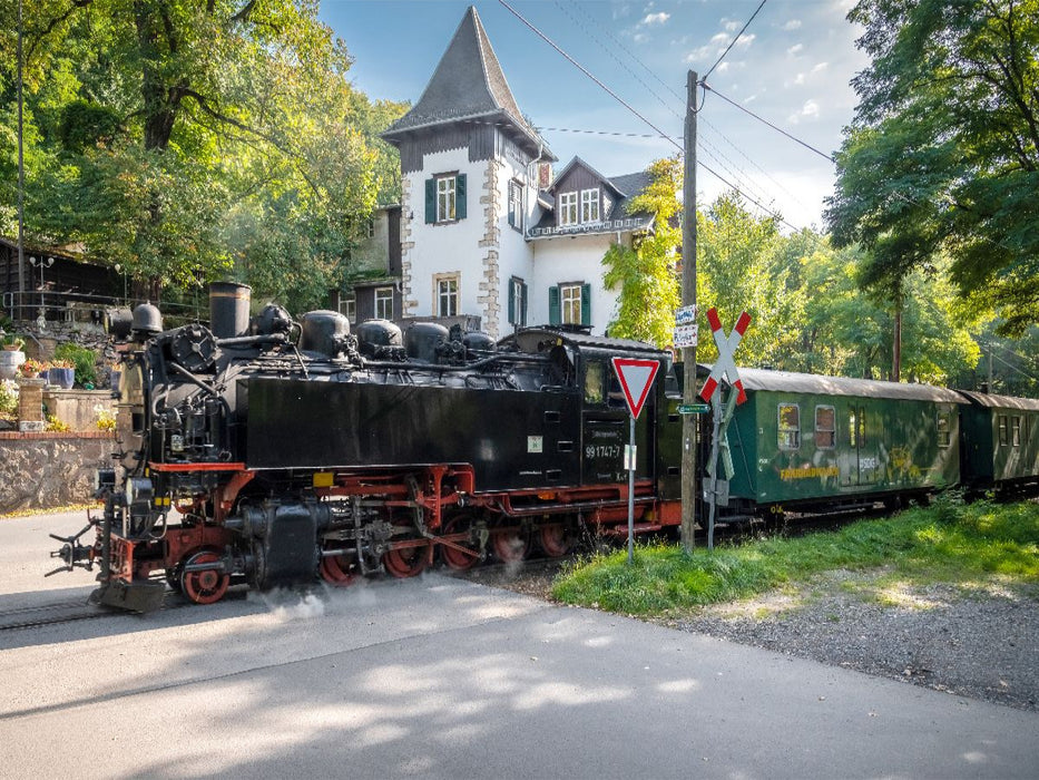 Lössnitzgrundbahn - CALVENDO Foto-Puzzle'