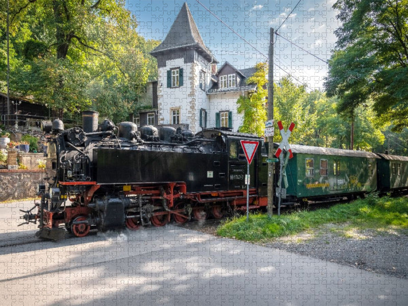 Lössnitzgrundbahn - CALVENDO Foto-Puzzle'