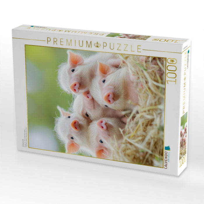 Einfach süß - CALVENDO Foto-Puzzle'