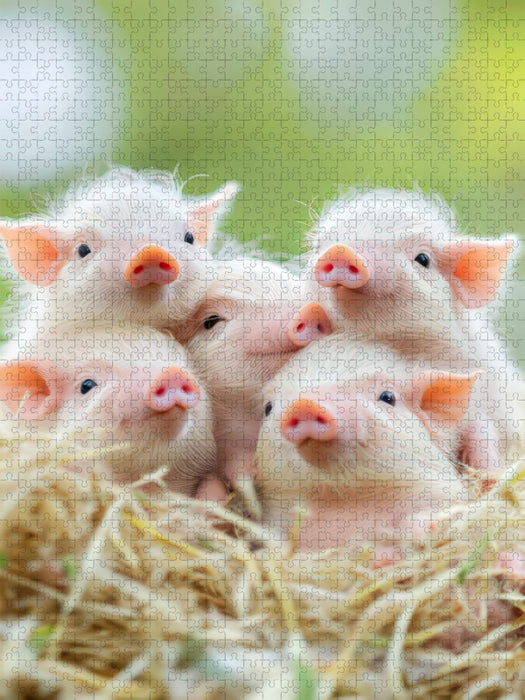 Einfach süß - CALVENDO Foto-Puzzle'