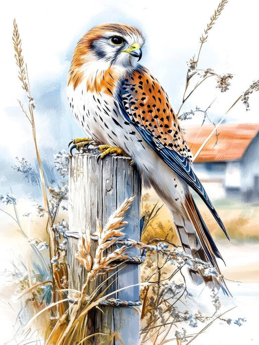 Turmfalke - CALVENDO Foto-Puzzle'