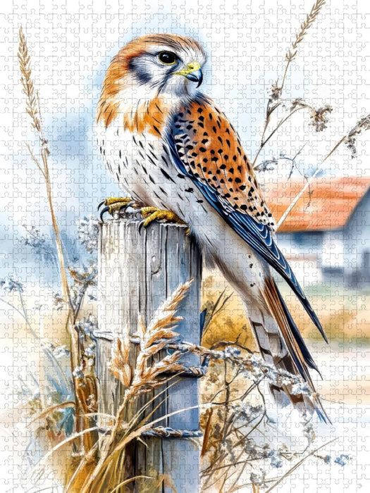 Turmfalke - CALVENDO Foto-Puzzle'