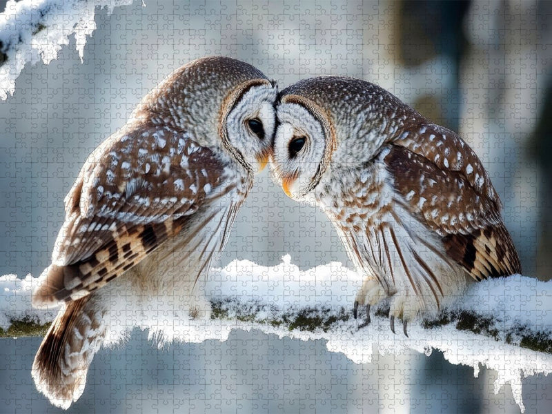 Gemeinsam durch den Winter - CALVENDO Foto-Puzzle'