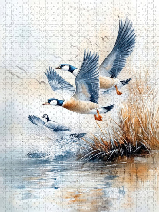 Gänse - CALVENDO Foto-Puzzle'