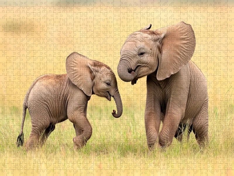 Rüsselrasselbande - CALVENDO Foto-Puzzle'