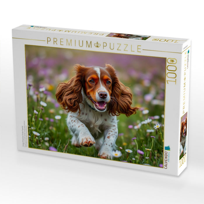 Junger American Cocker Spaniel - CALVENDO Foto-Puzzle'
