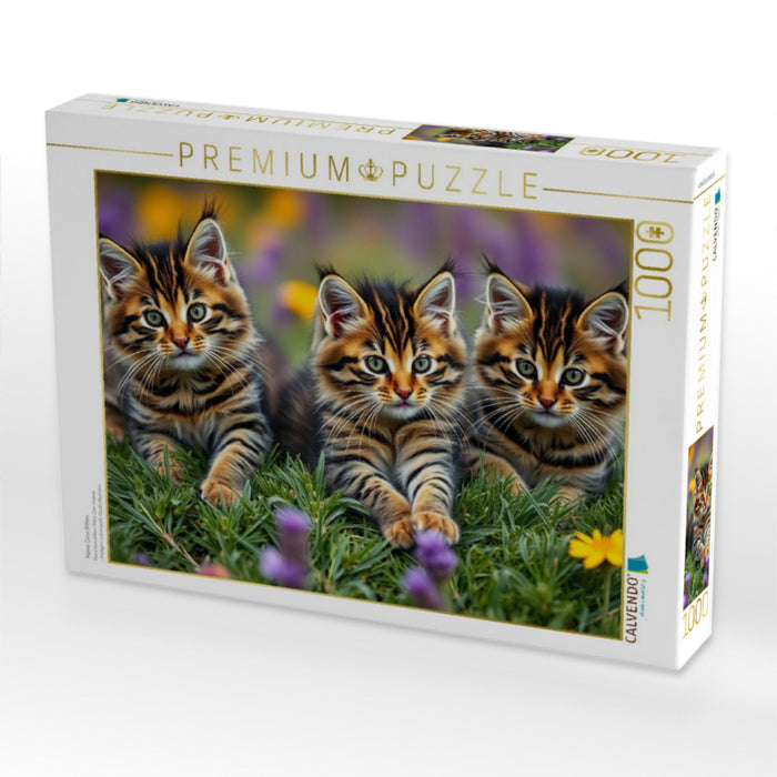 Maine Coon Kitten - CALVENDO Foto-Puzzle'