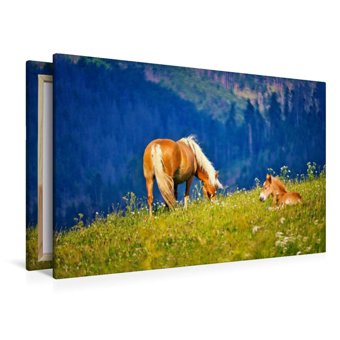 Premium Textil-Leinwand auf der Bergwiese