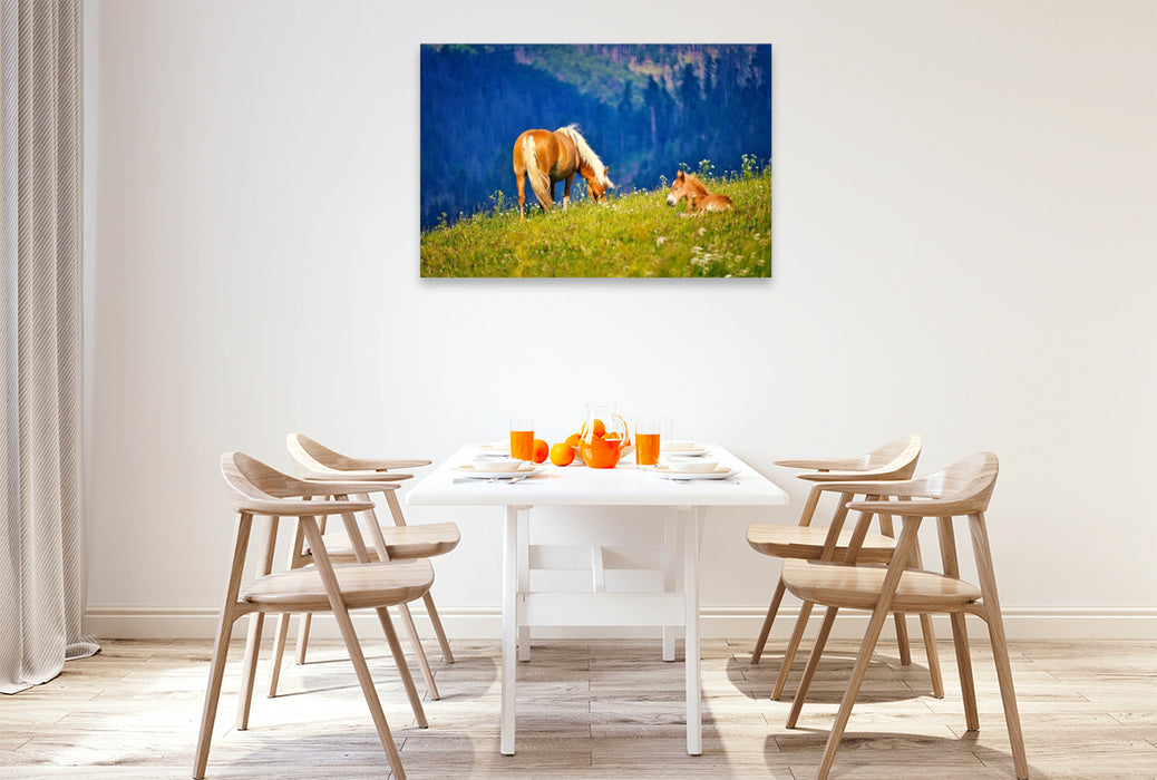 Premium Textil-Leinwand auf der Bergwiese