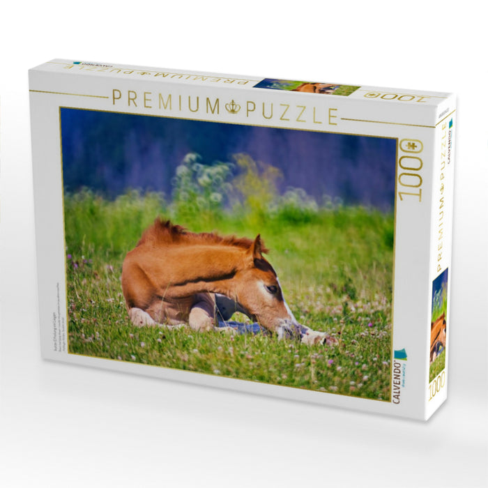 kurze Erholung im Liegen - CALVENDO Foto-Puzzle'