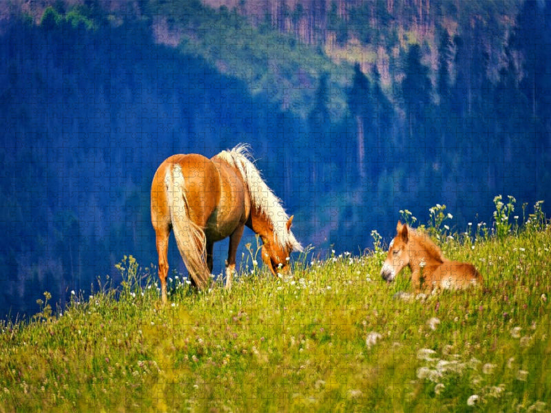auf der Bergwiese - CALVENDO Foto-Puzzle'