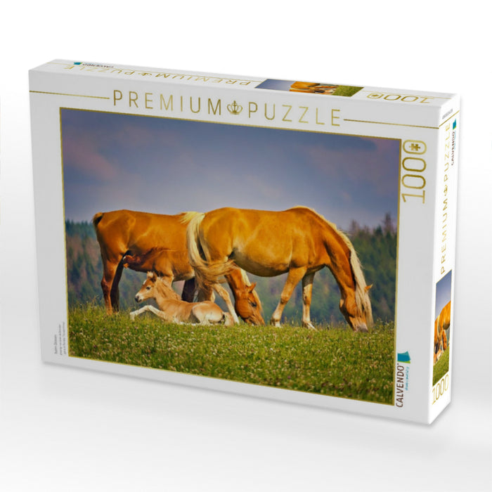 beim Grasen - CALVENDO Foto-Puzzle'