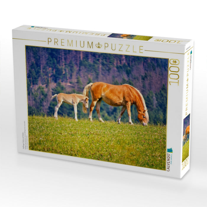 Haflinger Stute mit Fohlen - CALVENDO Foto-Puzzle'