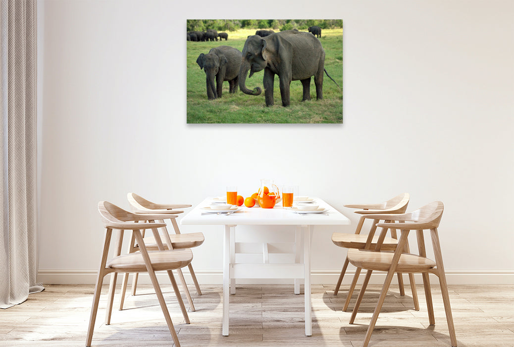 Premium Textil-Leinwand Elefanten in Menneriya