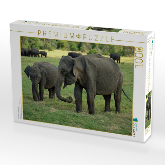 Elefanten in Menneriya - CALVENDO Foto-Puzzle'