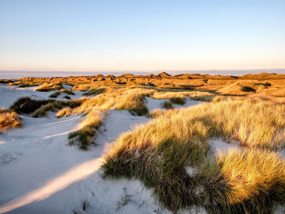 Amrum: Natur und Freiheit - CALVENDO Foto-Puzzle'