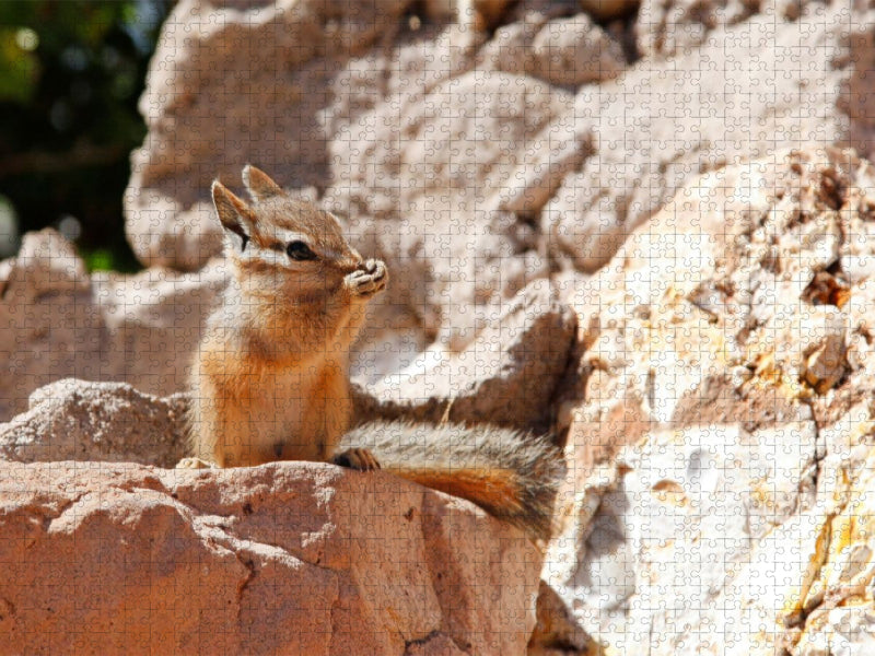 Uinta-Streifenhörnchen - CALVENDO Foto-Puzzle'