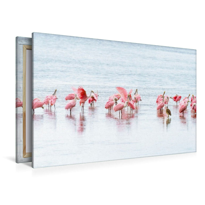 Premium Textil-Leinwand Rosalöffler in Florida