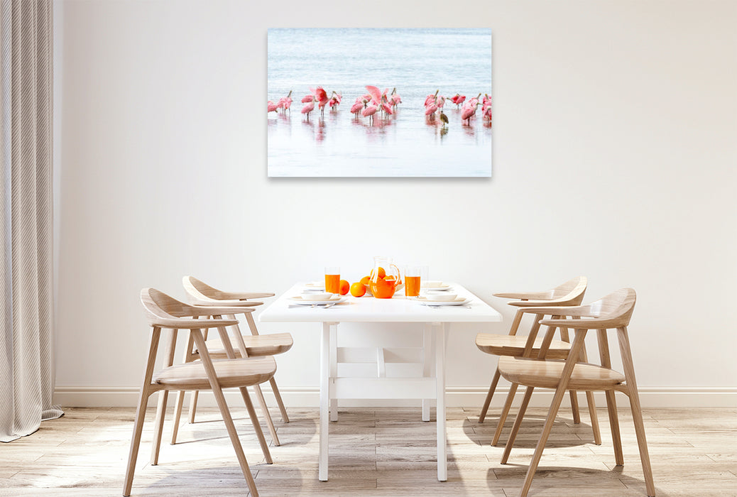 Premium Textil-Leinwand Rosalöffler in Florida