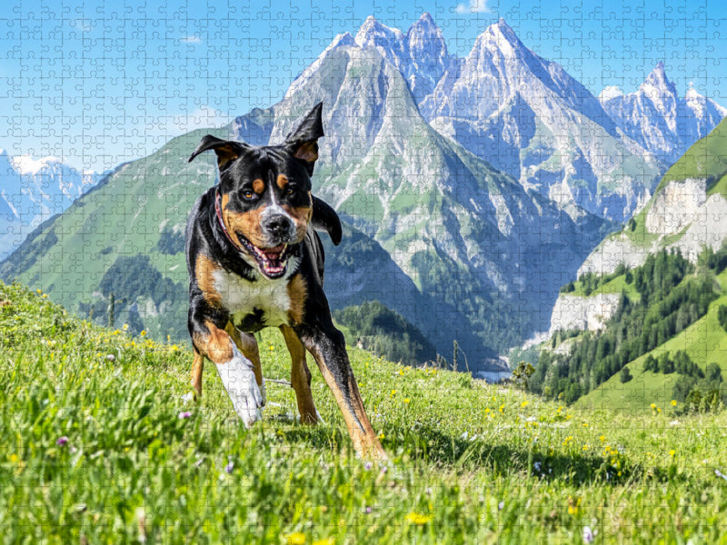 Schweizer Berge - CALVENDO Foto-Puzzle'