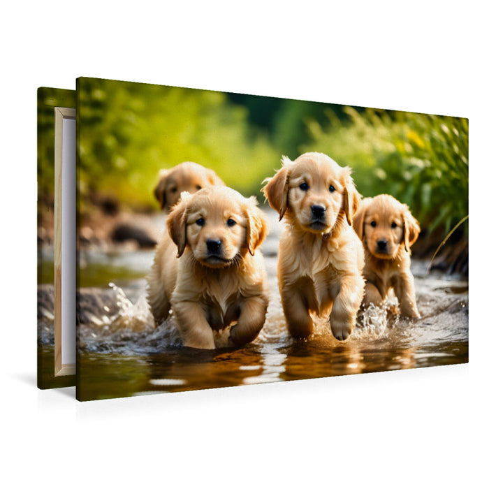 Premium Textil-Leinwand Golden Retriever Welpen