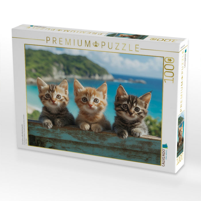 Eine kleine süße Kätzchenbande - CALVENDO Foto-Puzzle'