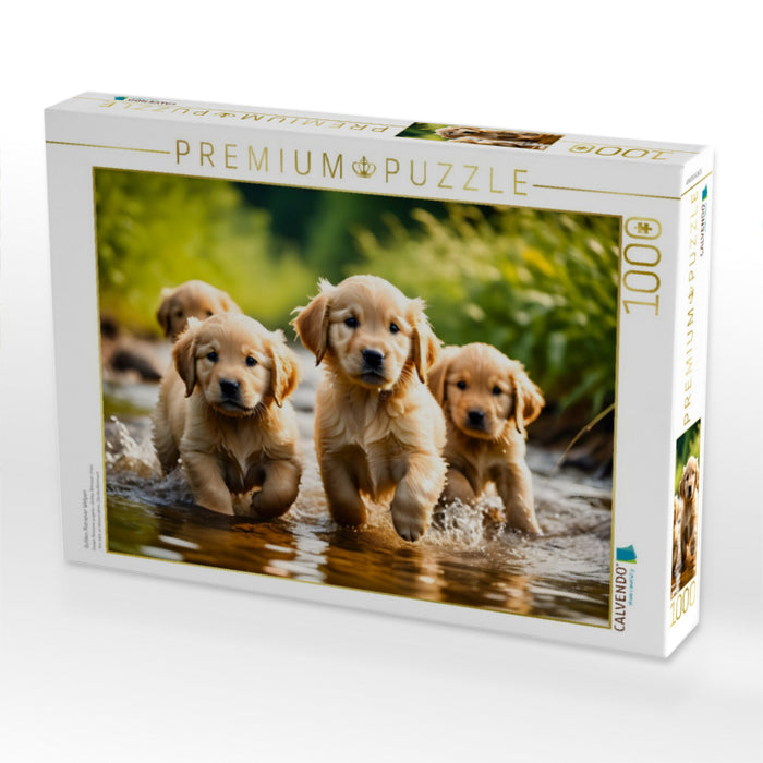Golden Retriever Welpen - CALVENDO Foto-Puzzle'