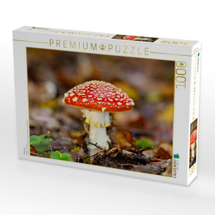 Fliegenpilz - CALVENDO Foto-Puzzle'