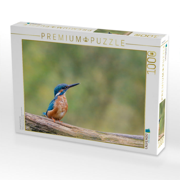 Eisvogel auf seinem Ast - CALVENDO Foto-Puzzle'