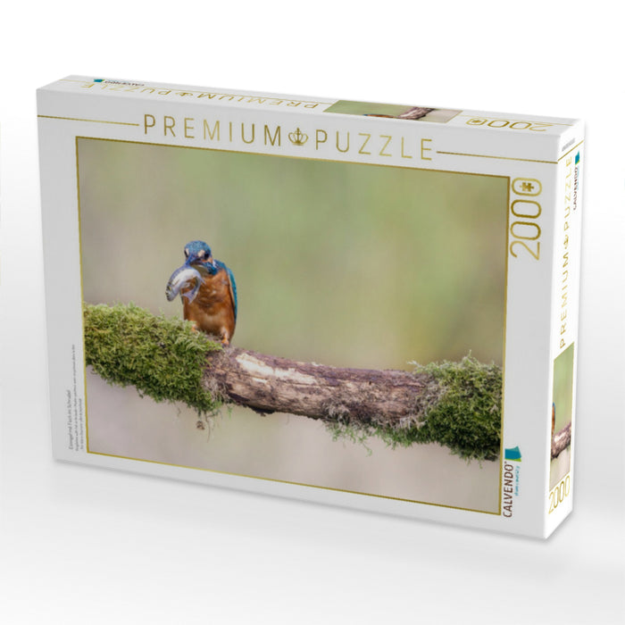 Eisvogel mit Fisch im Schnabel - CALVENDO Foto-Puzzle'