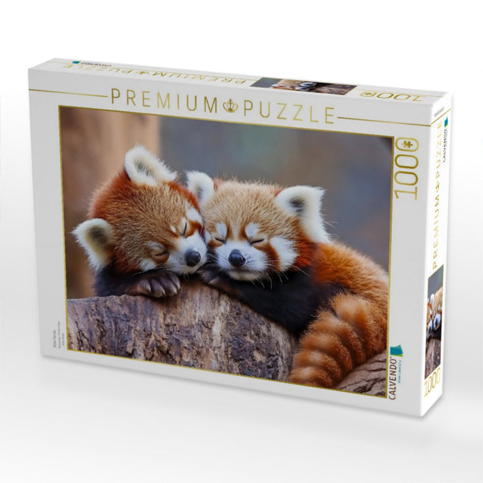 Rote Panda - CALVENDO Foto-Puzzle'