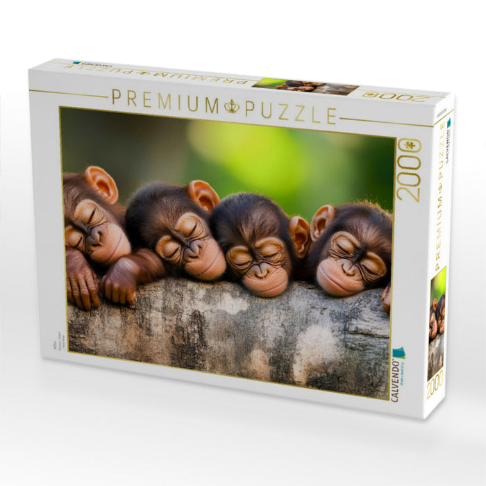 Affen - CALVENDO Foto-Puzzle'